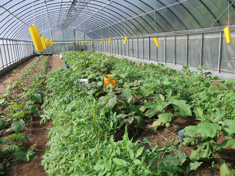 2017.11.16 野小孩農場