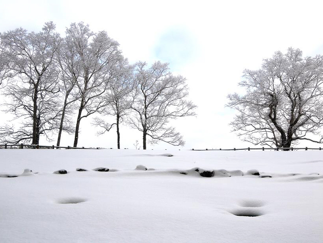 冬之洞爺湖 • 旅中隨帖