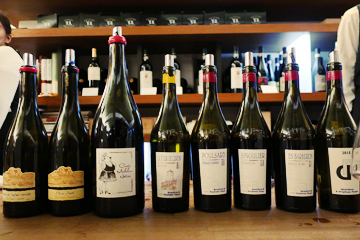 2017.03.25 葡萄酒的秘境：侏羅酒展Vins du Jura