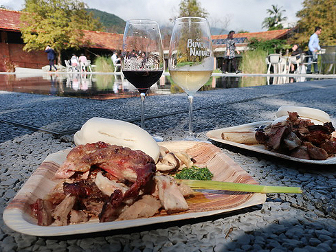 2018.11.09＆23＆24 2018 Buvons Nature 喝自然葡萄酒展