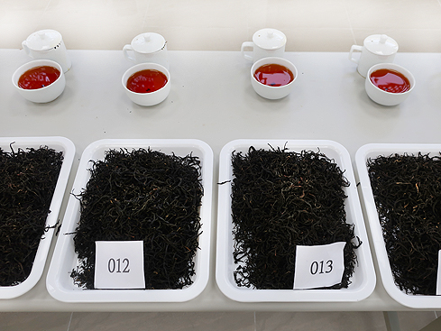 本色，日月潭紅茶 —「2018日月潭紅茶評鑑賽」評審後記