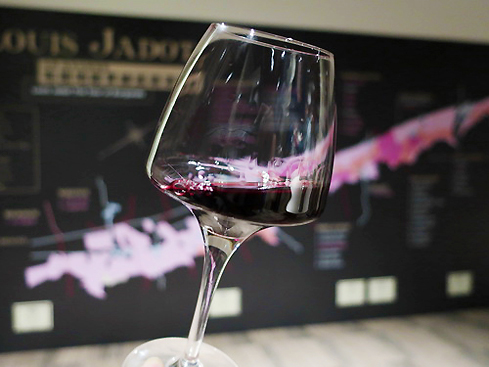 2019.03.22＆23 法國 Louis Jadot酒廠「布根地縱貫線巡迴」酒展