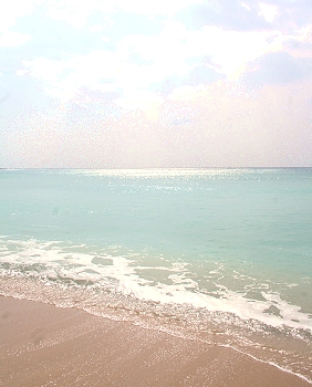 【冬日，墾丁】06.12.17   依依　