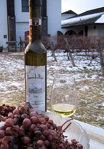 加拿大酒鄉採訪記—尾聲∼說起這一程啊……