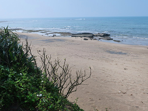 2022.03.10 新北石門 麟山鼻遊憩區