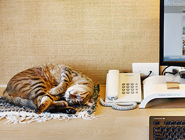 生活，在變與不變之間