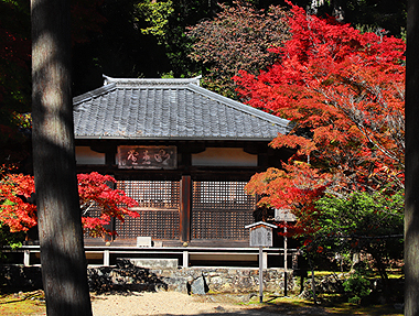 秋之京都 • 旅中隨帖(一)
