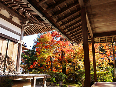 秋之京都 • 旅中隨帖(二)