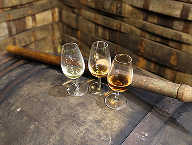 威士忌桶陳新氣象