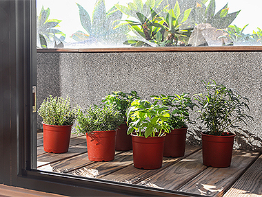 隨緣自在,香草生活