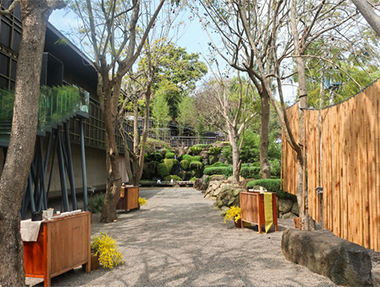 2024.03.05 台中新社 飛花落院三周年茶餐會