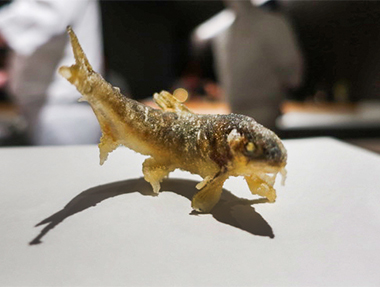 2024.07.09 牡丹．極上 天ぷら