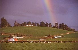 紐西蘭Lodge與B&B體驗之旅(上) (2002.10.22)