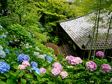 山海鎌倉 • 旅中隨帖
