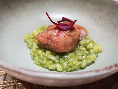 2025.09.05 台南 Haraペコ