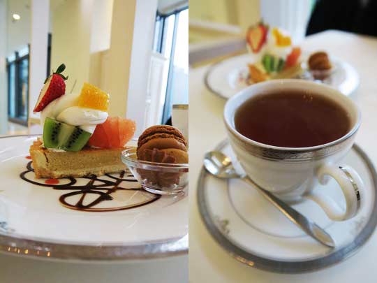 2015.04.11 Arrow Tree