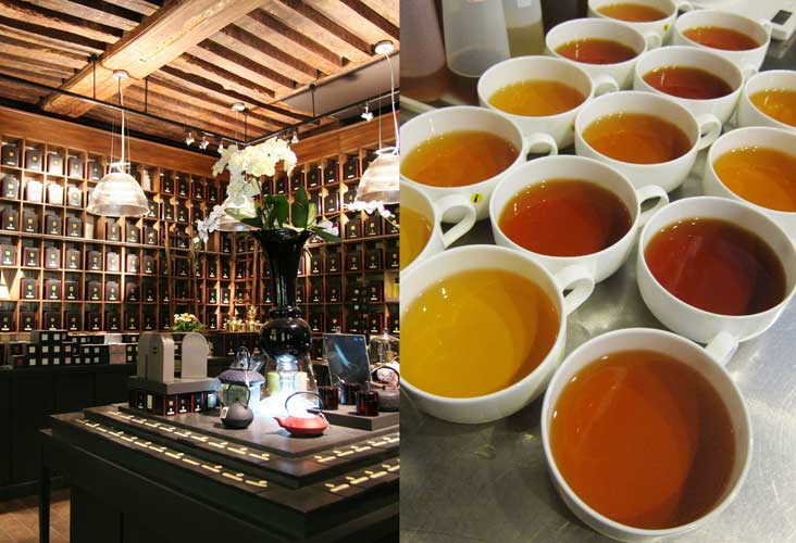 說說選茶:好茶百千,你取哪瓢飲?