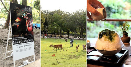 重遊奈良•旅中隨帖