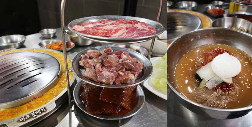 2017.07.01 新麻蒲海鷗（台灣1號店）