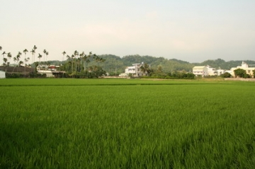 2008.08.30 霧峰農會酒莊