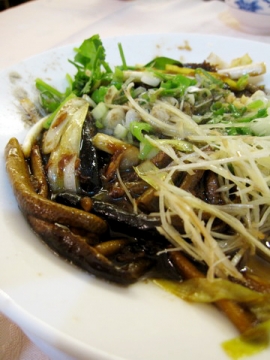 2010.03.16 錢唐村