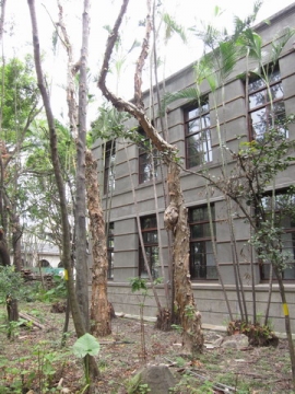 2010.10.07 松山菸廠