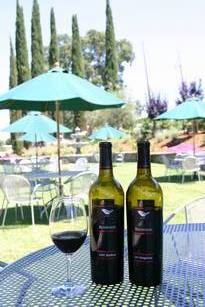 加州酒鄉之旅(下)