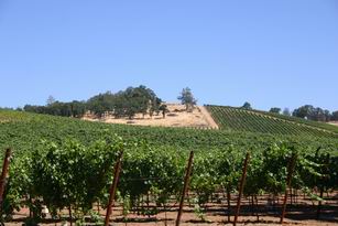 加州酒鄉之旅(上)