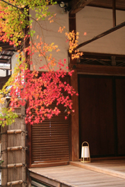 漫遊,京都今與昔