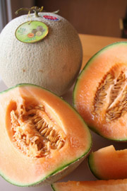 五月，七股洋香瓜 （上） — 台灣水果月記／之一