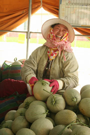 五月，七股洋香瓜 （下） — 台灣水果月記／之一