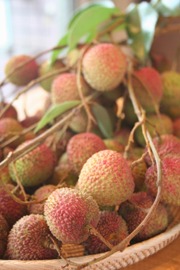 六月，玉荷包荔枝 （上） — 台灣水果月記／之二