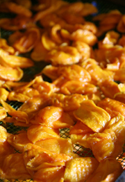 最是精彩,台灣食材滋味