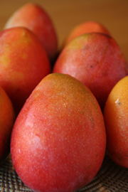 七月，愛文芒果 — 台灣水果 月記／之三