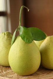 九月，麻豆老欉文旦 （上） — 台灣水果月記／之五