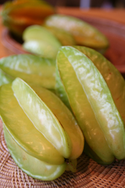 十月，白布帆楊桃（上）— 台灣水果月記／之六