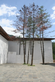 不丹,Amankora之旅(上)