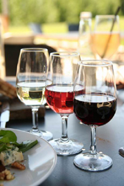 期待，台灣釀的酒