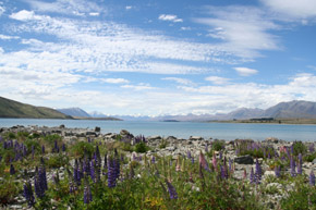 2008，我想要……     → 歡迎大家加入分享！　