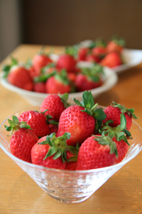 三月，大湖豐香草莓（上）— 台灣水果月記／之十一