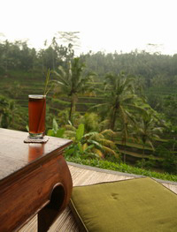 闔家同歡•Shalimar Villa（上）