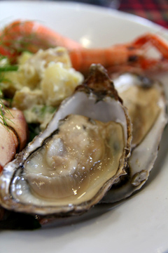 ｛旅食隨記｝難忘•肥腴甘美生蠔滋味