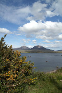 蘇格蘭島嶼威士忌酒鄉之旅(下)
