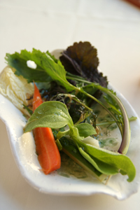 慢食，之後—序《慢食之後》