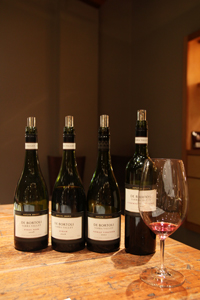 美味處處•澳洲酒鄉行