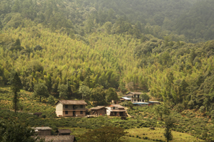 紅茶原鄉.武夷山之旅(上)