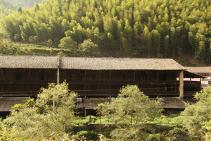 紅茶原鄉.武夷山之旅(下)