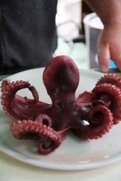 {旅食隨記}西西里市場的章魚大餐