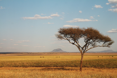 東非Safari•旅中隨帖　