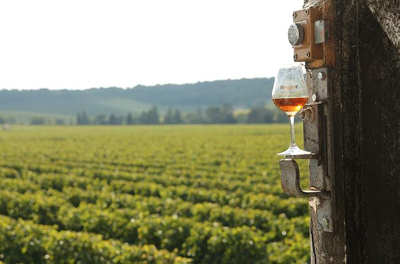 蘇格蘭、干邑、波爾多酒鄉行•旅中隨帖　